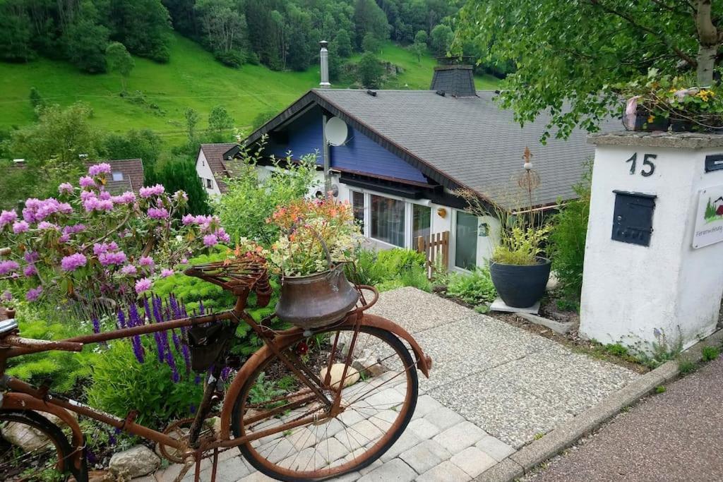 Ferienwohnung Schog Todtnau Exterior photo